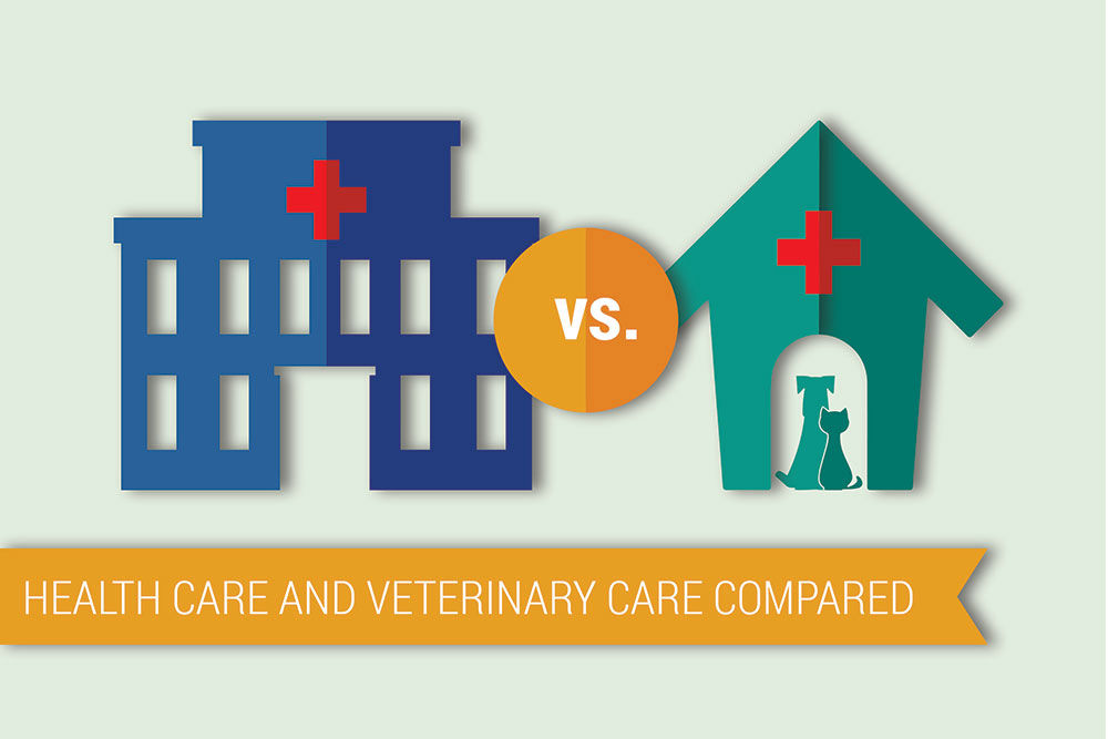 pet care health care spending header 04