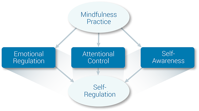 mindfulness three skills posner