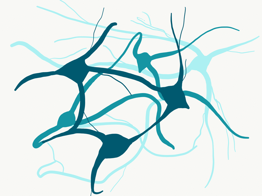 neuron gif