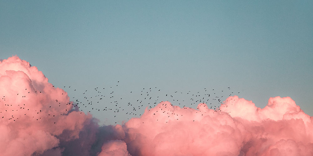 pink clouds and birds header