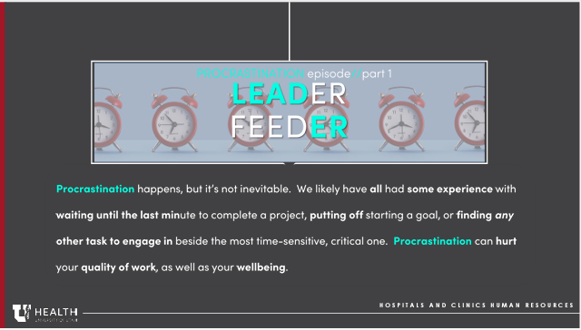 Leader Feeders-Procrastination sidebar