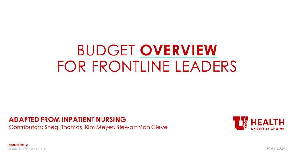 budget overview nursingppt training accelerate